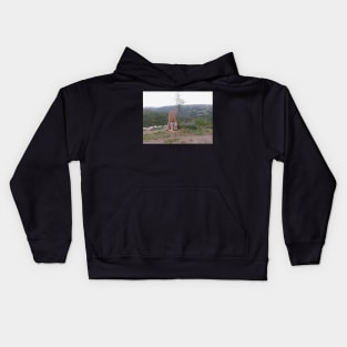 On top of the world Kids Hoodie